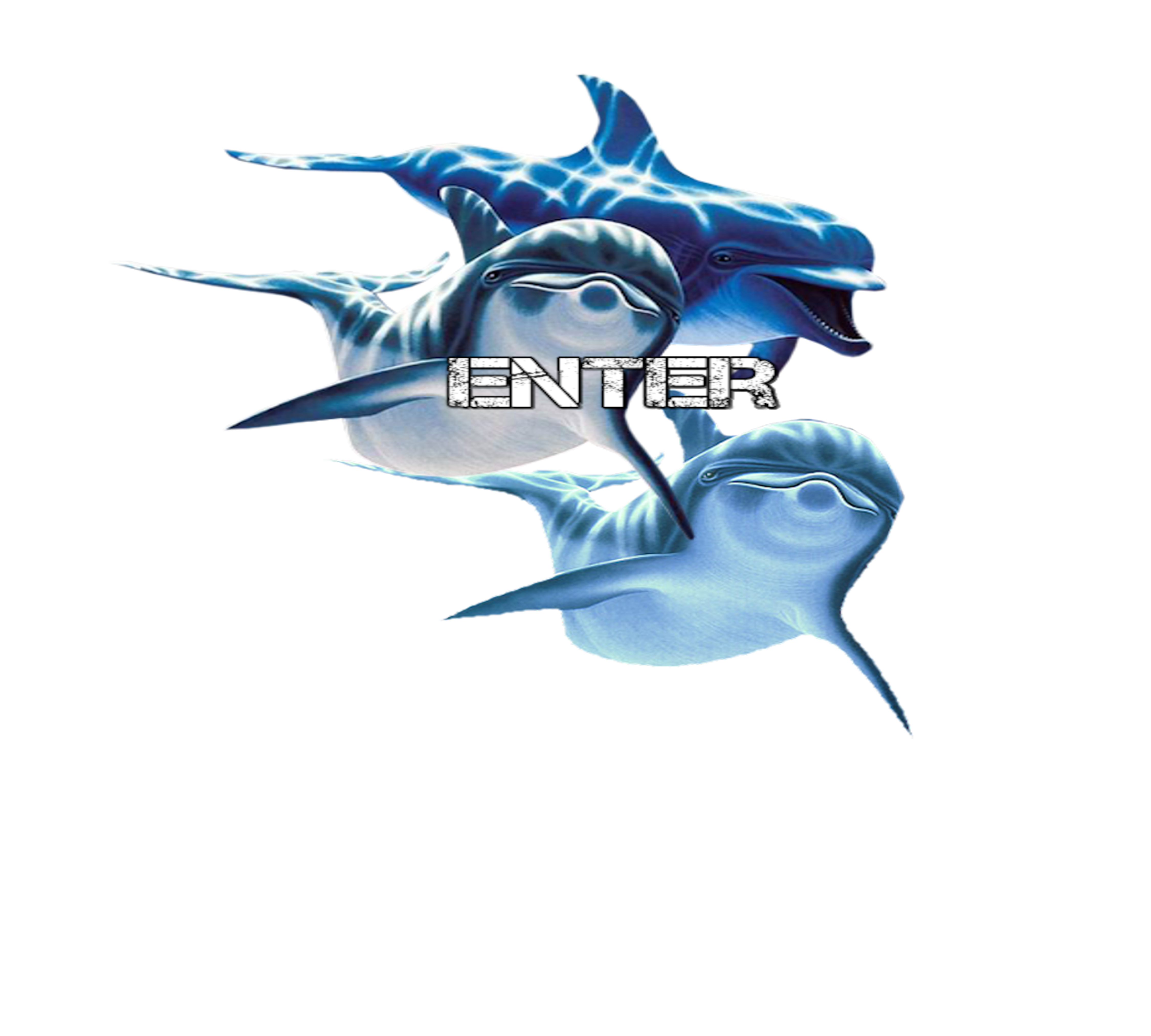 Bottlenose Bottle Nose Dolphins T-Shirts