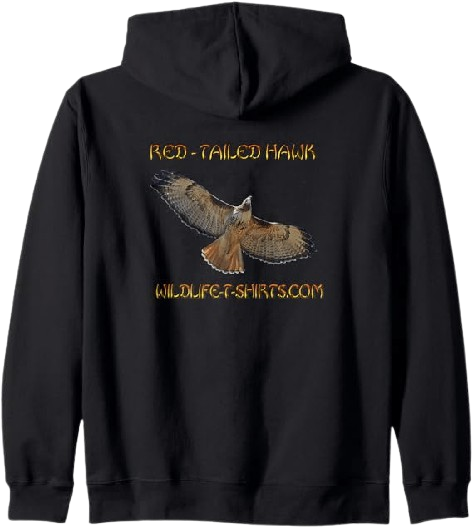 Red-Tailed Hawk T-Shirt