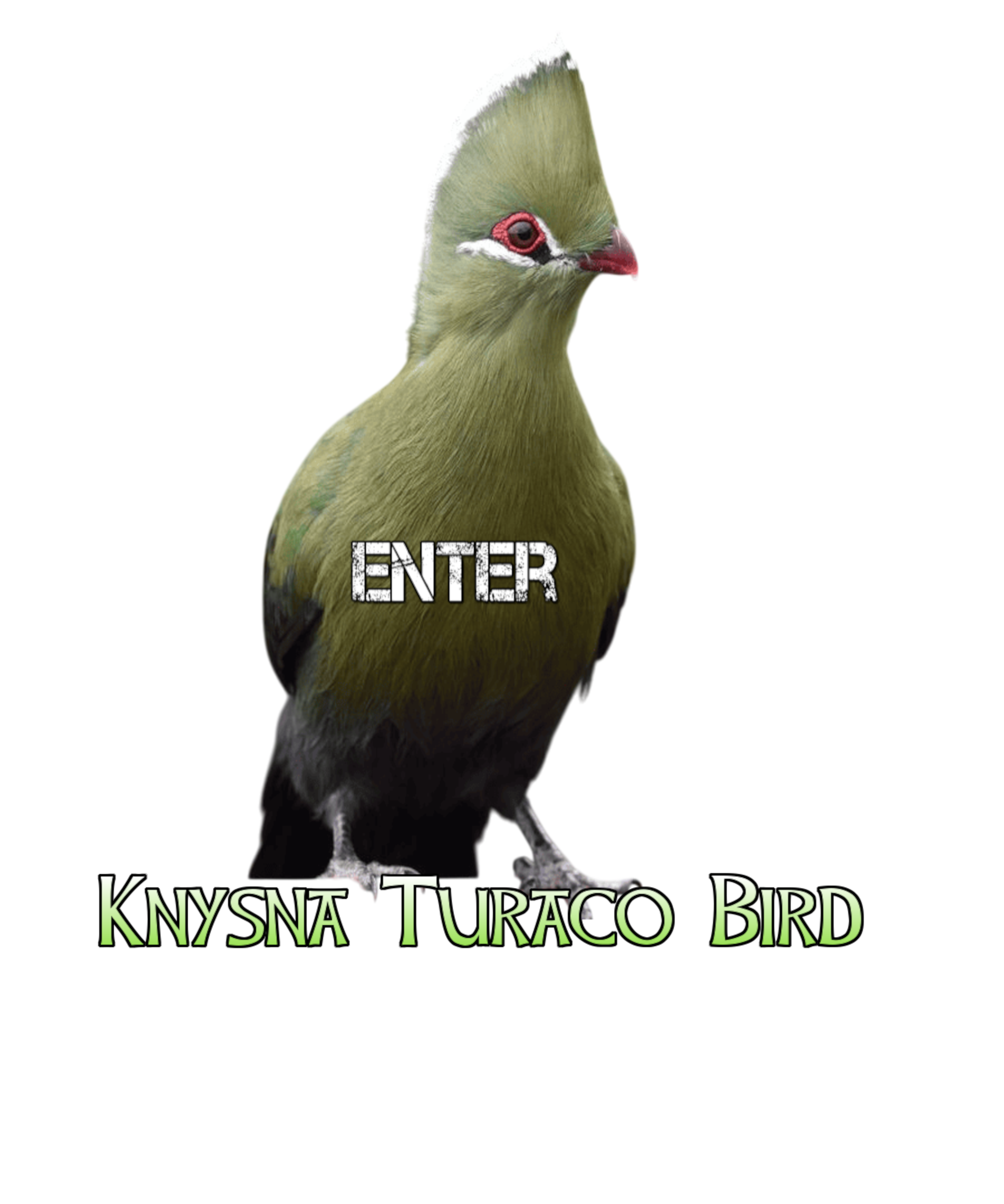African Turaco Bird T-Shirts